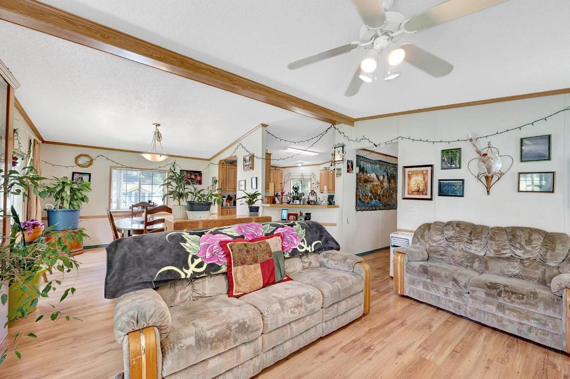 32 Old N Thompson E Highway, Clearwater, BC - Indoor Photo Showing Living Room