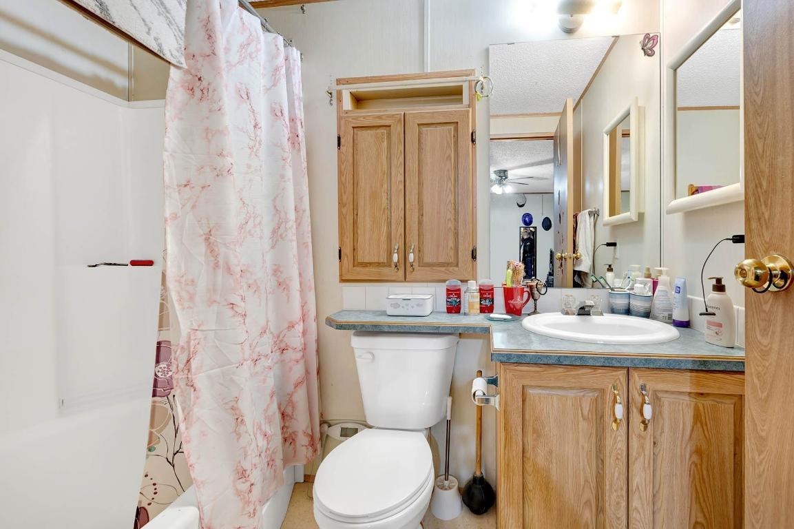 32 Old N Thompson E Highway, Clearwater, BC - Indoor Photo Showing Bathroom