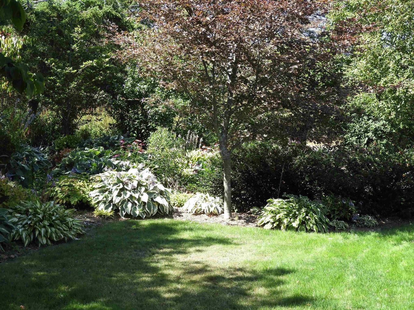 362 Prospect Avenue, Kentville, NS