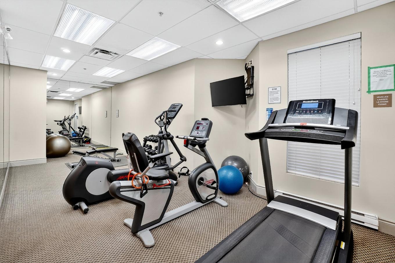 Salle d'exercice - 311-2 Place Des Jardins-Des-Vosges, Montréal (Verdun/Île-Des-Soeurs), QC - Indoor Photo Showing Gym Room