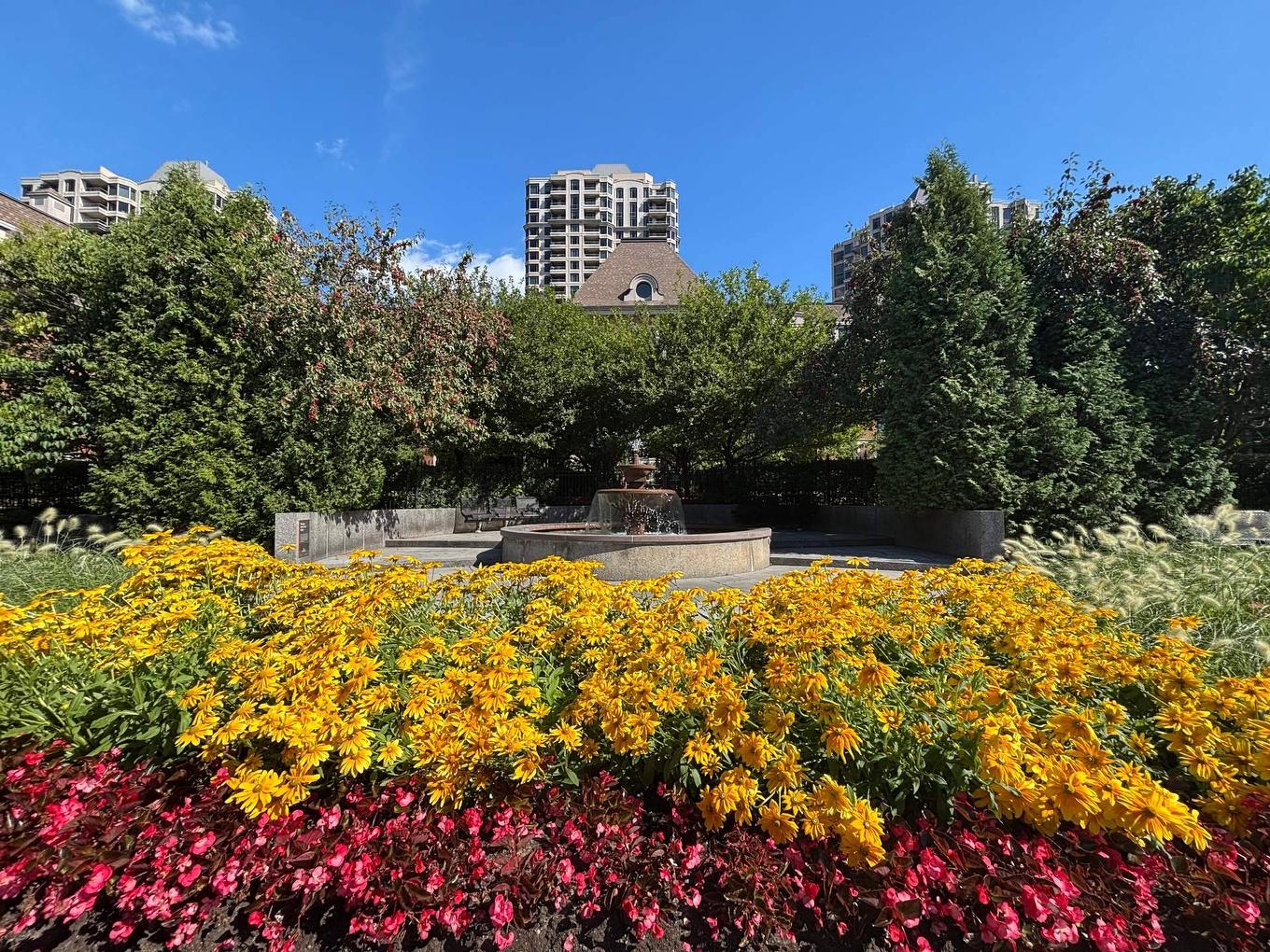 Autre - 311-2 Place Des Jardins-Des-Vosges, Montréal (Verdun/Île-Des-Soeurs), QC - Outdoor