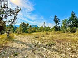 Acreage on the other side of Palmer Creek could be great for storage or possible subdivision & rezoning -