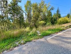 Another access off 1st Ave SW -