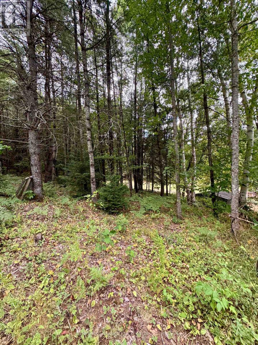 1641 Boulter Road, Carlow/Mayo (Carlow Ward), ON