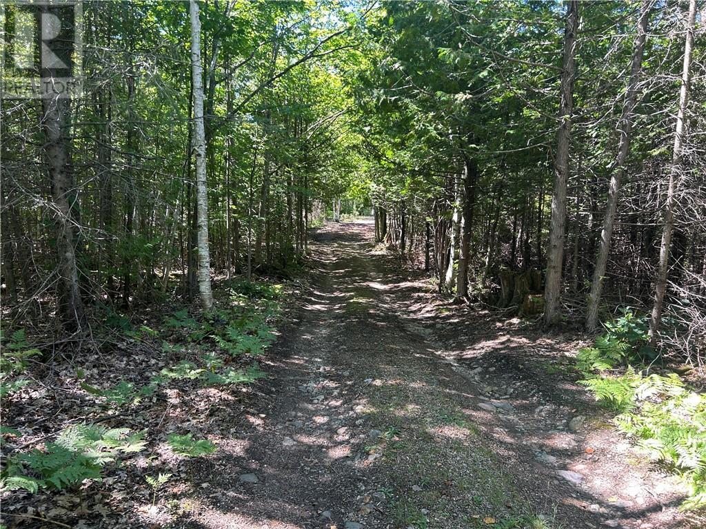 29 Townline Road, Tehkummah, ON