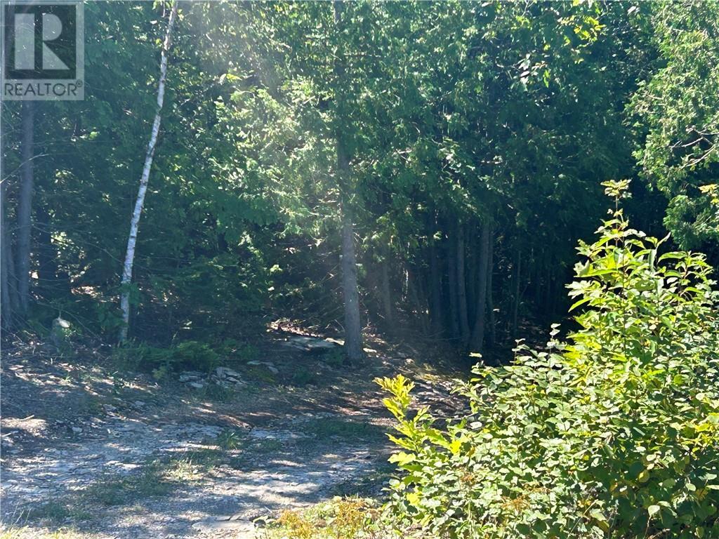 29 Townline Road, Tehkummah, ON