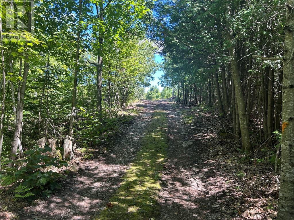 29 Townline Road, Tehkummah, ON