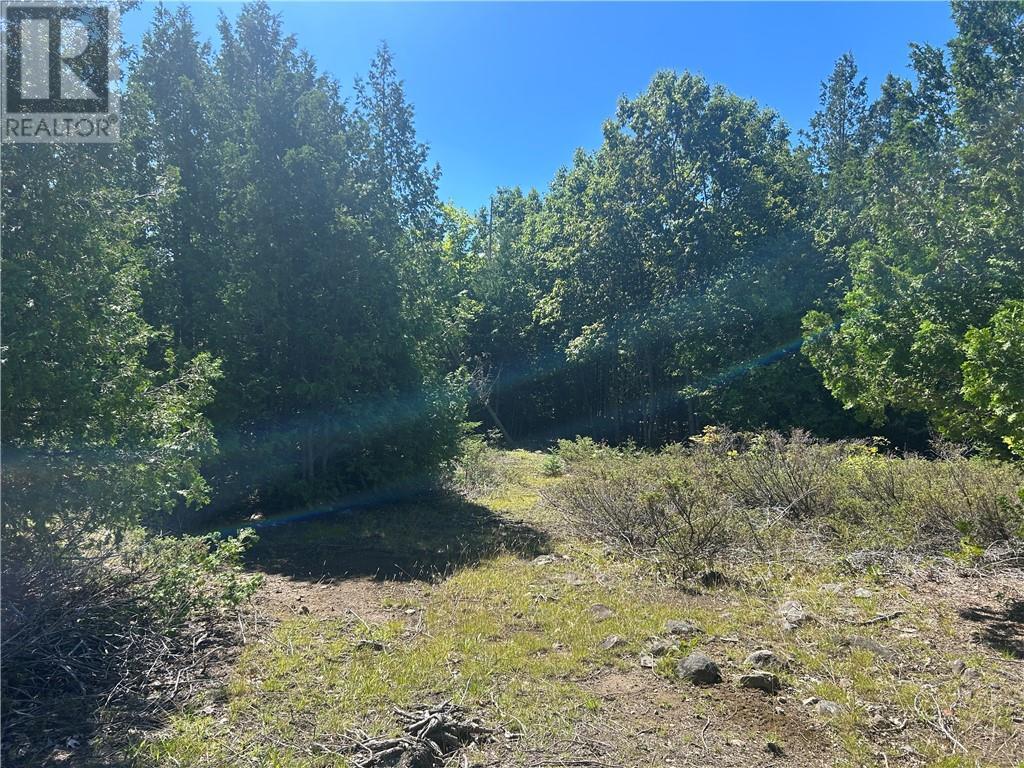 29 Townline Road, Tehkummah, ON