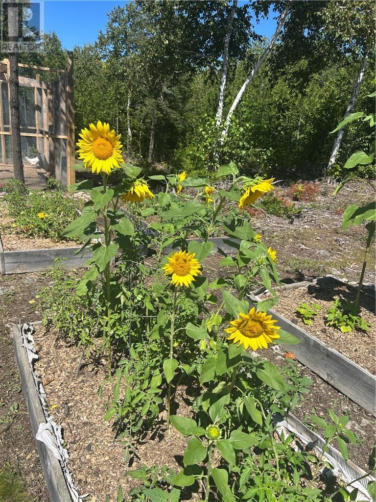 29 Townline Road, Tehkummah, ON