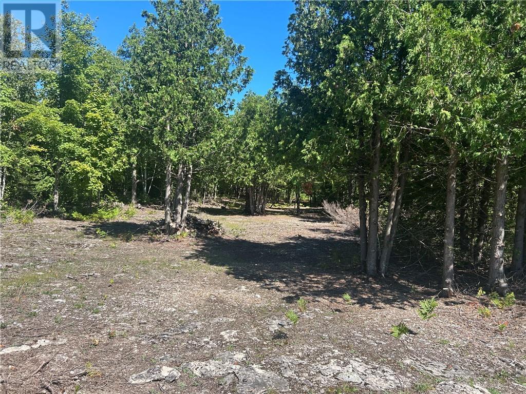 29 Townline Road, Tehkummah, ON