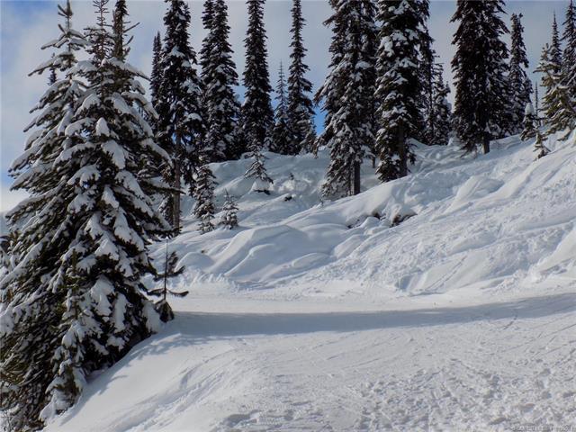 23-5940 Snow Pines Way, Big White, BC - Outdoor With View