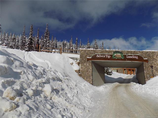 23-5940 Snow Pines Way, Big White, BC - Outdoor With View