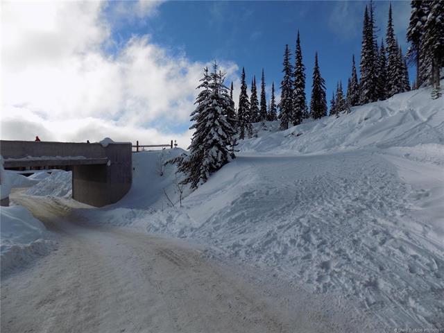 23-5940 Snow Pines Way, Big White, BC - Outdoor