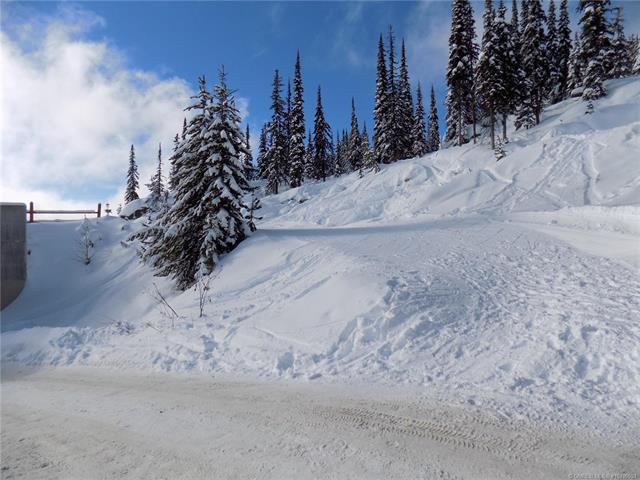 23-5940 Snow Pines Way, Big White, BC - Outdoor With View