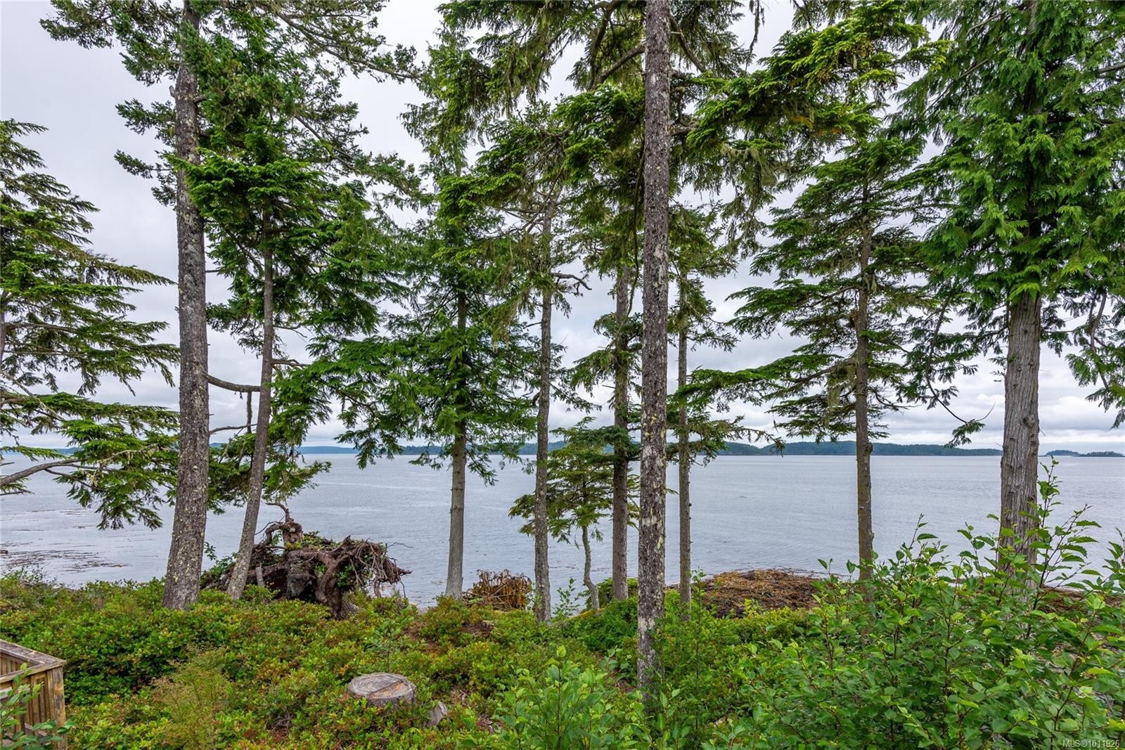 Dl2264 Hidden Cove, Port Mcneill, BC