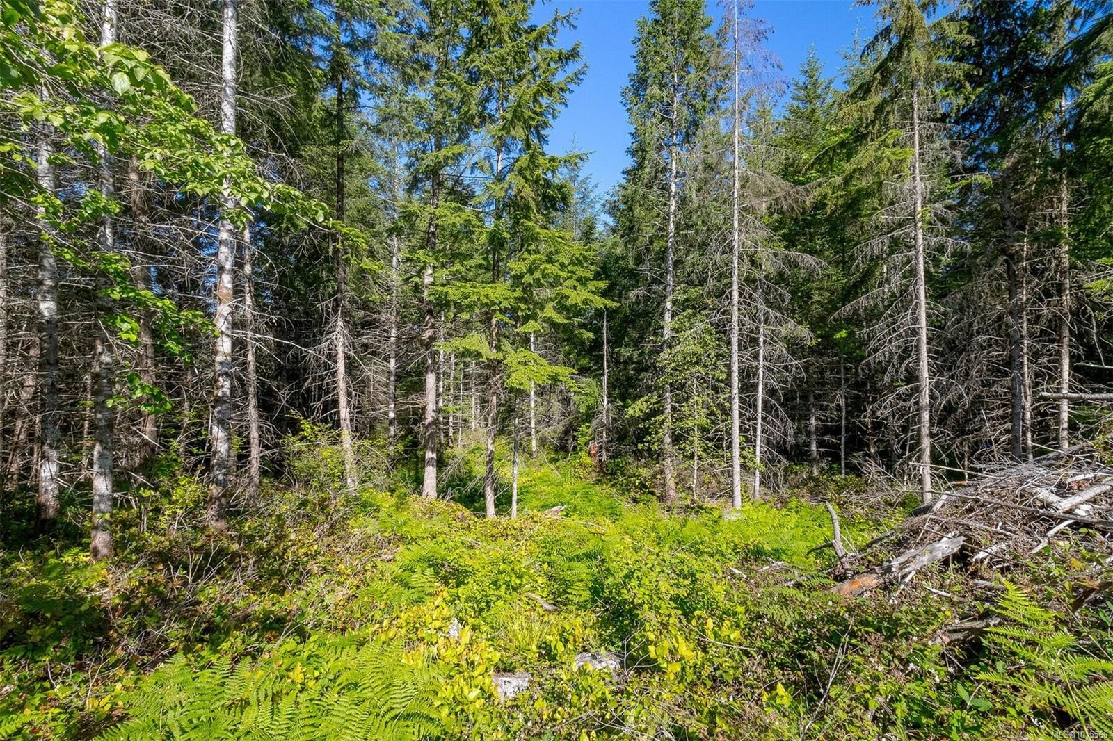 7 Sunrise Rd, Duncan, BC