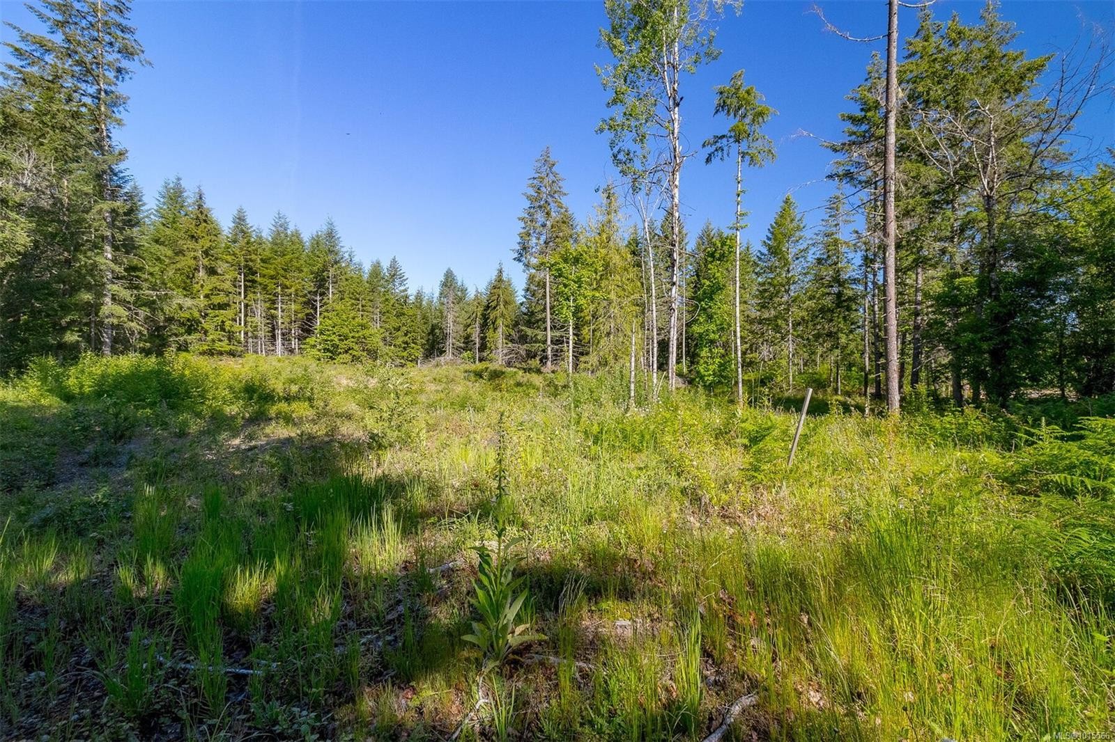 7 Sunrise Rd, Duncan, BC