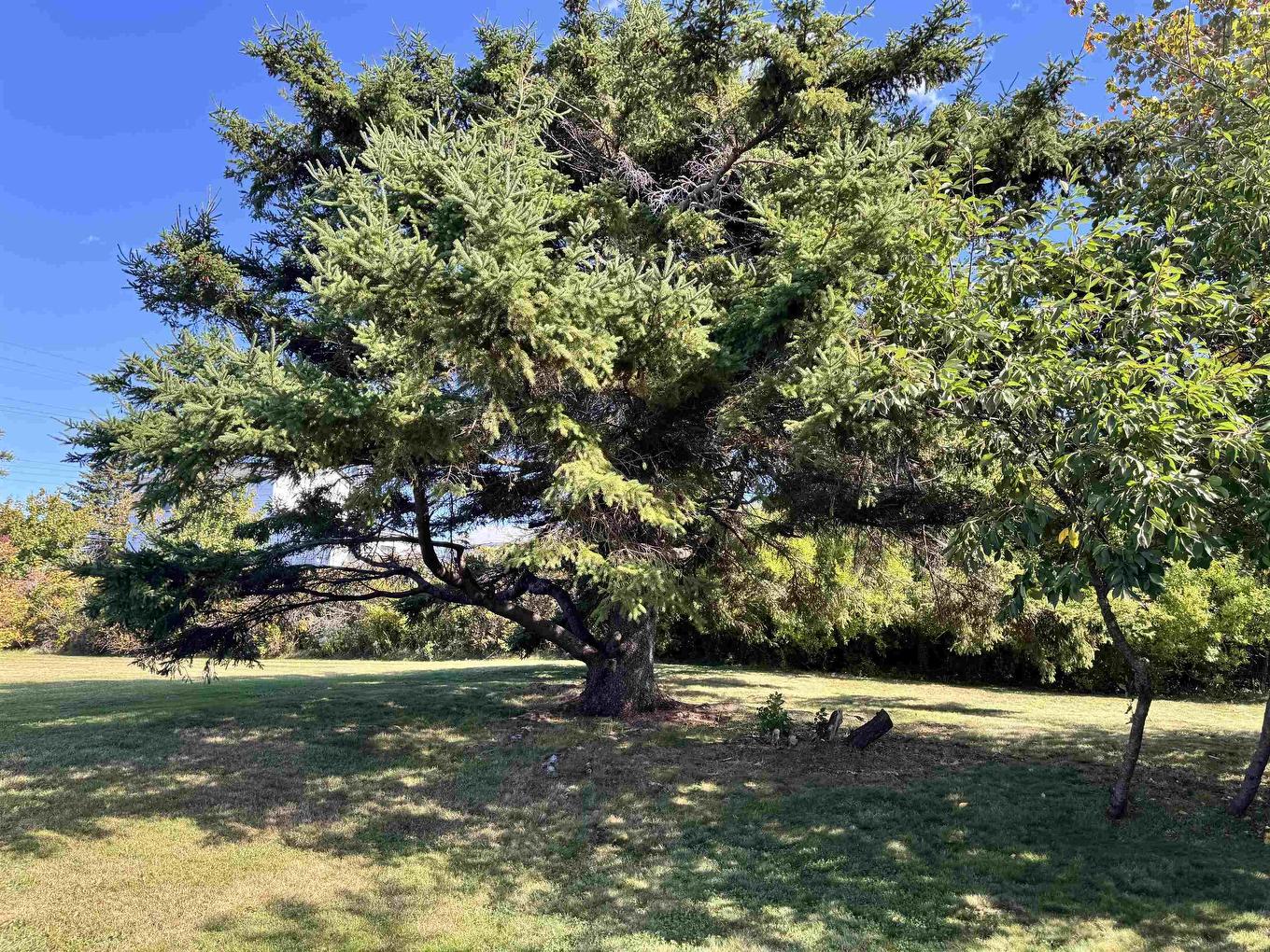 325 Reserve Street, Glace Bay, NS