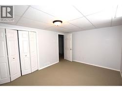 bedroom 3 lower level -