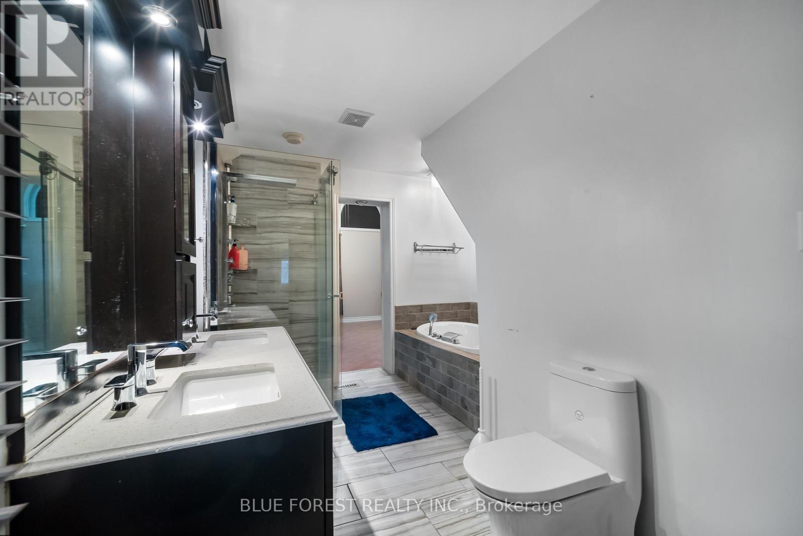 246 Grey Street, London East (East K), ON - Indoor Photo Showing Bathroom