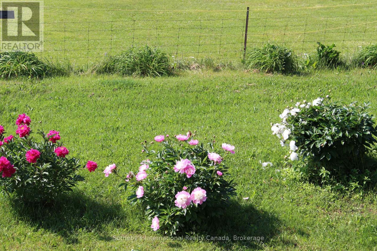 122 Mcfadden Line, Powassan (Trout Creek), ON