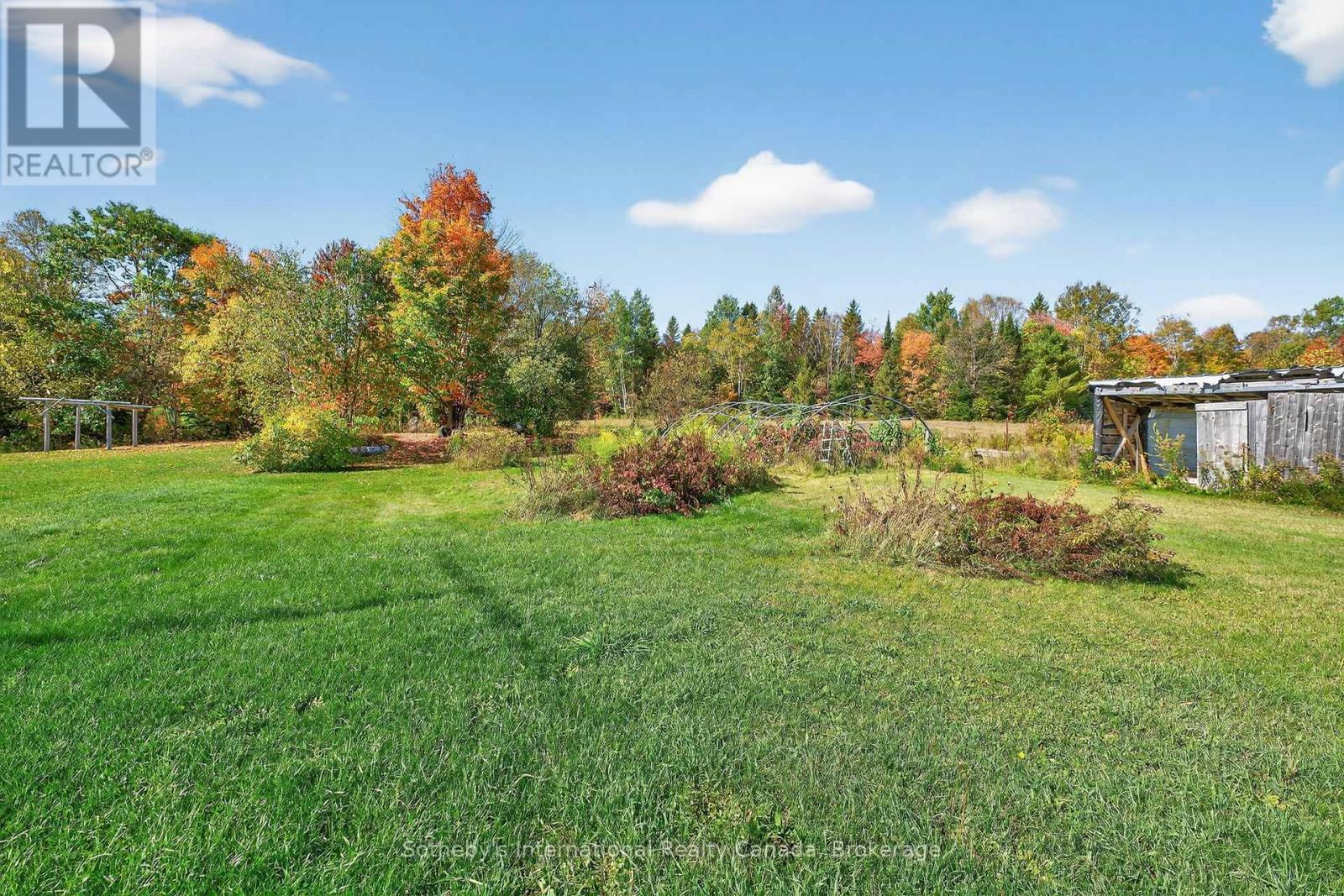 122 Mcfadden Line, Powassan (Trout Creek), ON