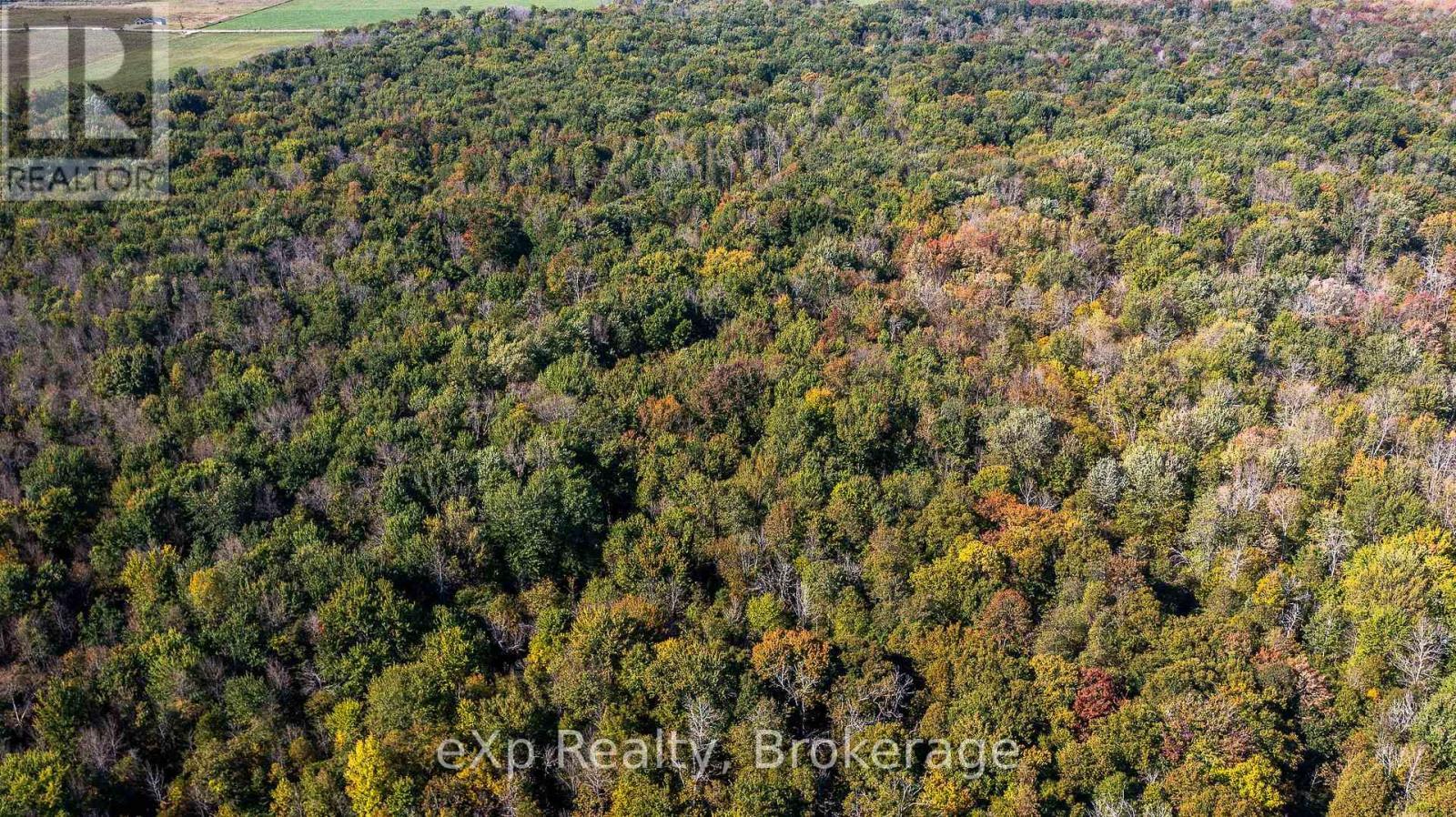 Ne 1/4 Lt 3 Conc 10 Sideroad 3, Georgian Bluffs, ON