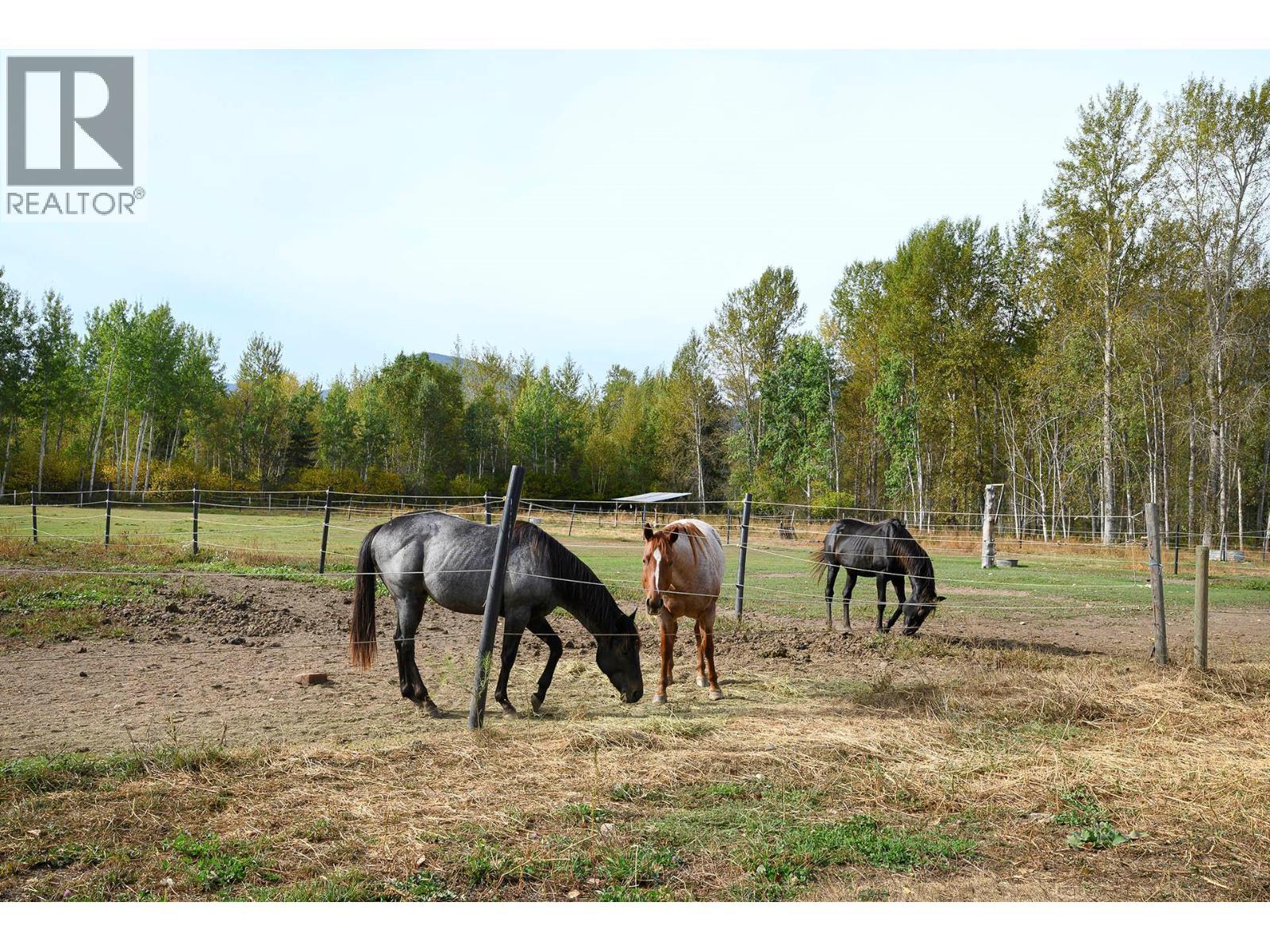 2804 Auldgirth Road, Clearwater, BC