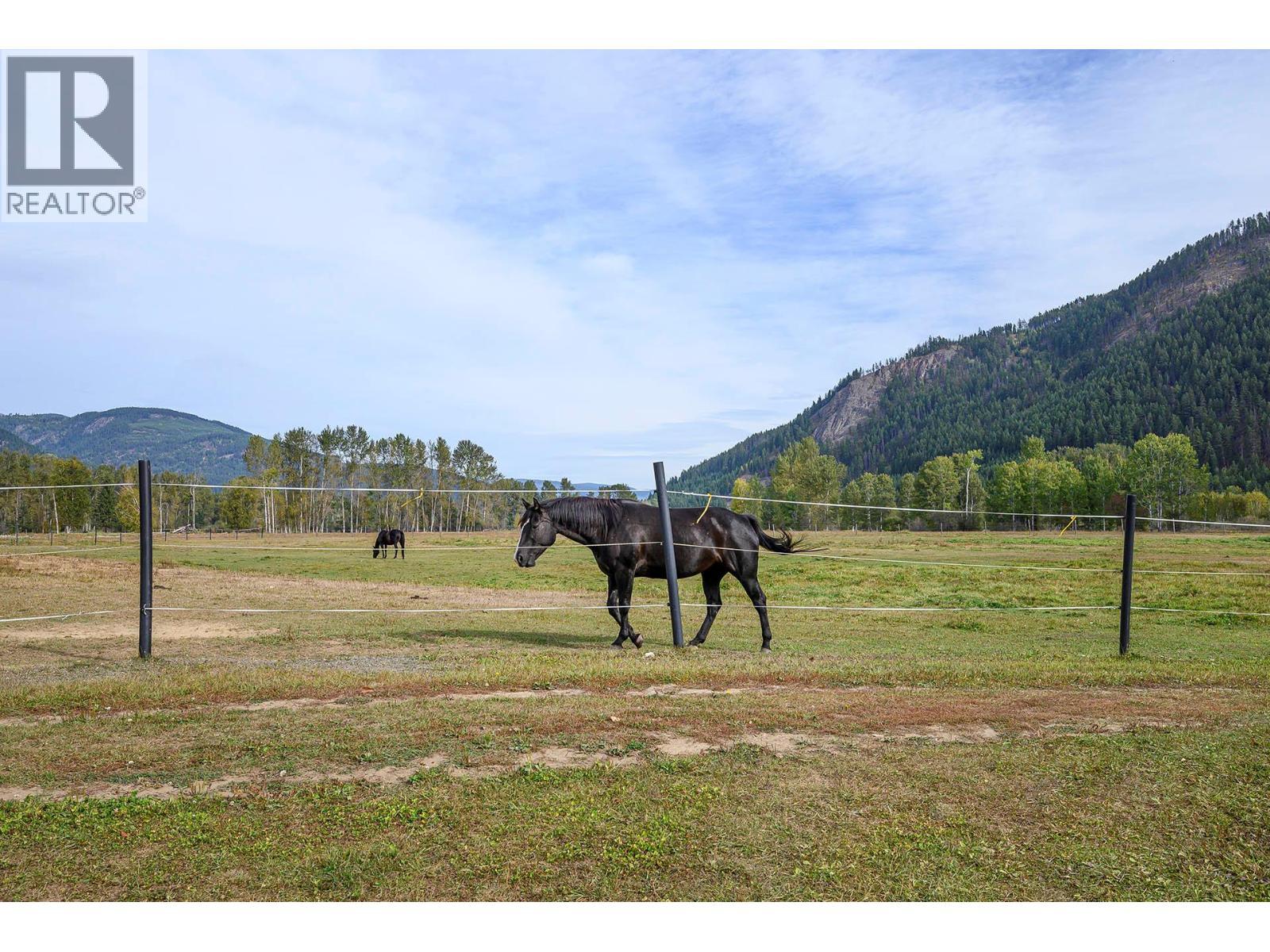 2804 Auldgirth Road, Clearwater, BC