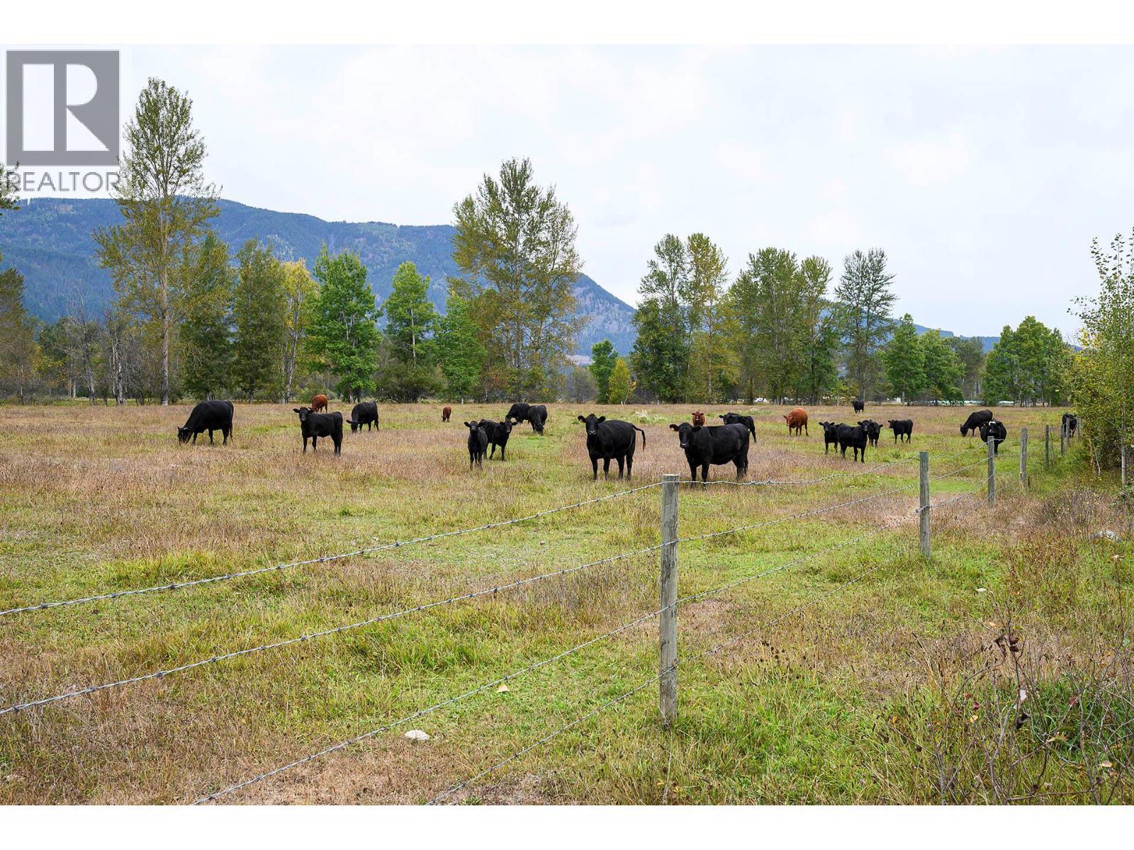 2804 Auldgirth Road, Clearwater, BC