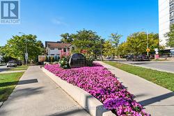 Beautiful I.O.D.E parkette. -