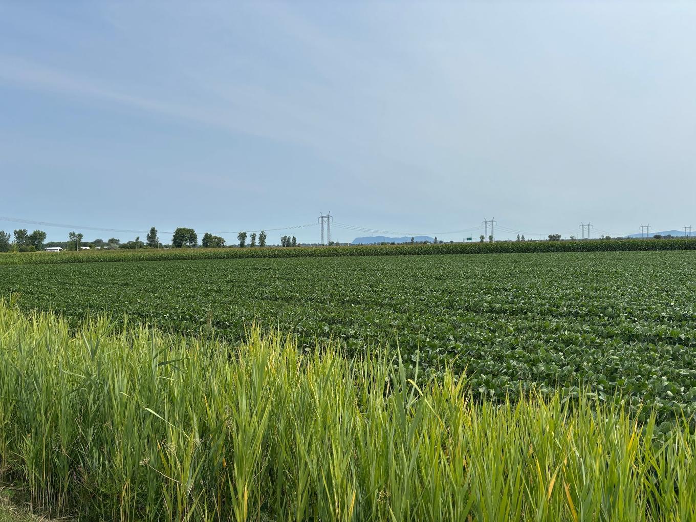 Overall view - 5142 Ch. Salaberry, Carignan, QC - Outdoor With View