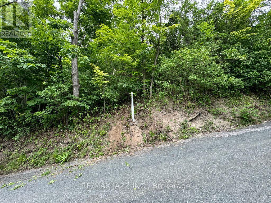 0 Maple Street, Trent Hills (Campbellford), ON