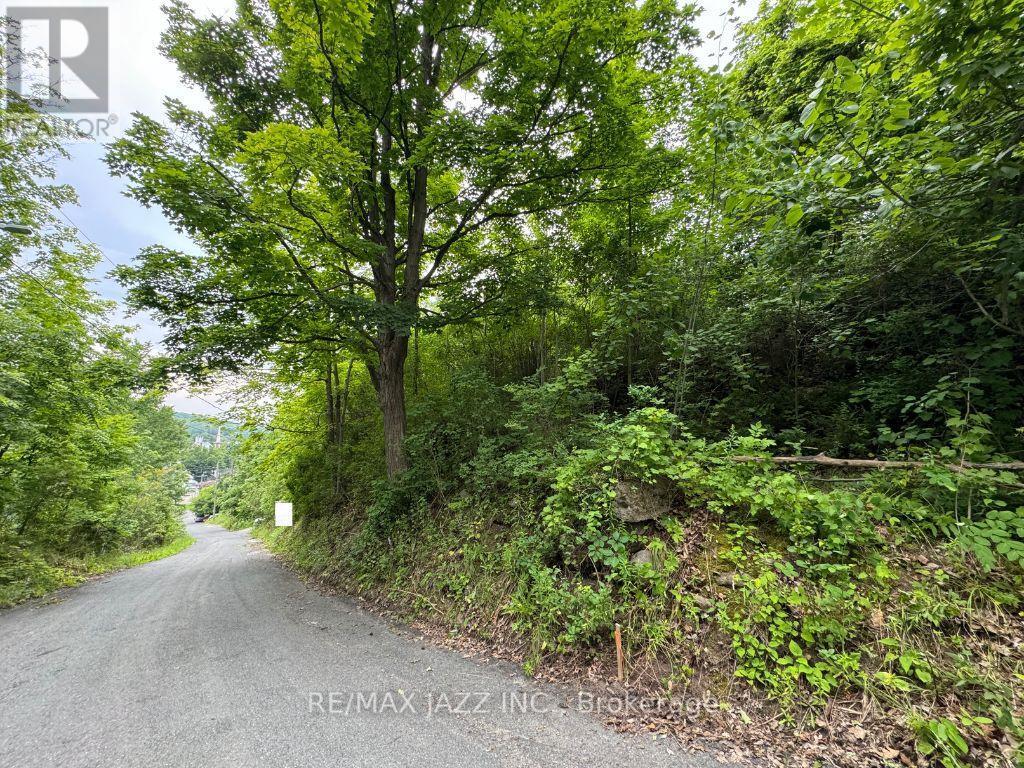 0 Maple Street, Trent Hills (Campbellford), ON