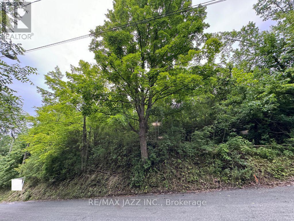 0 Maple Street, Trent Hills (Campbellford), ON