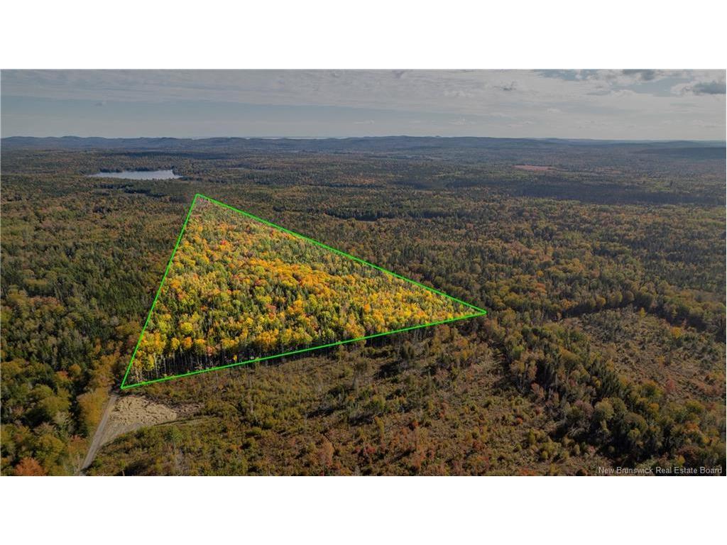 Lot Clatter Rd, Rollingdam, NB