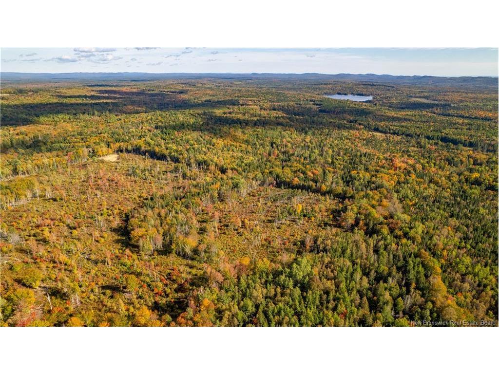 Lot Clatter Rd, Rollingdam, NB