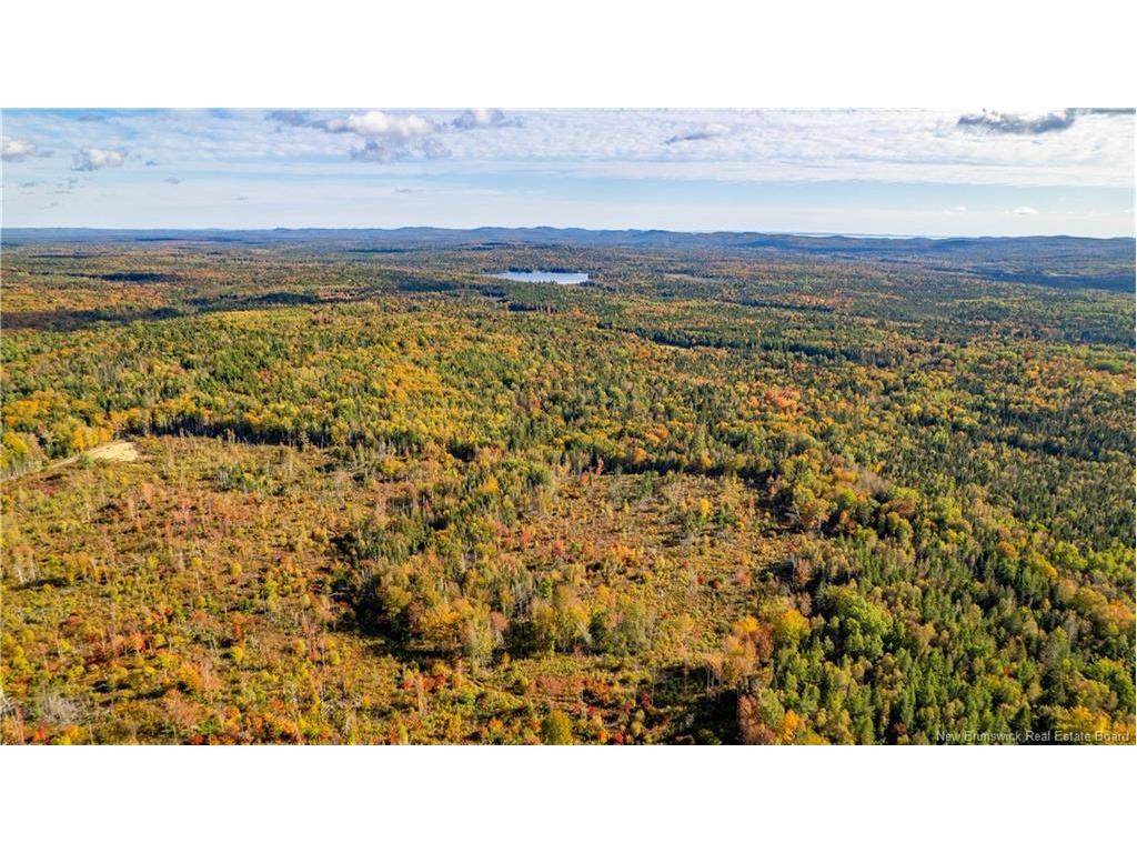 Lot Clatter Rd, Rollingdam, NB