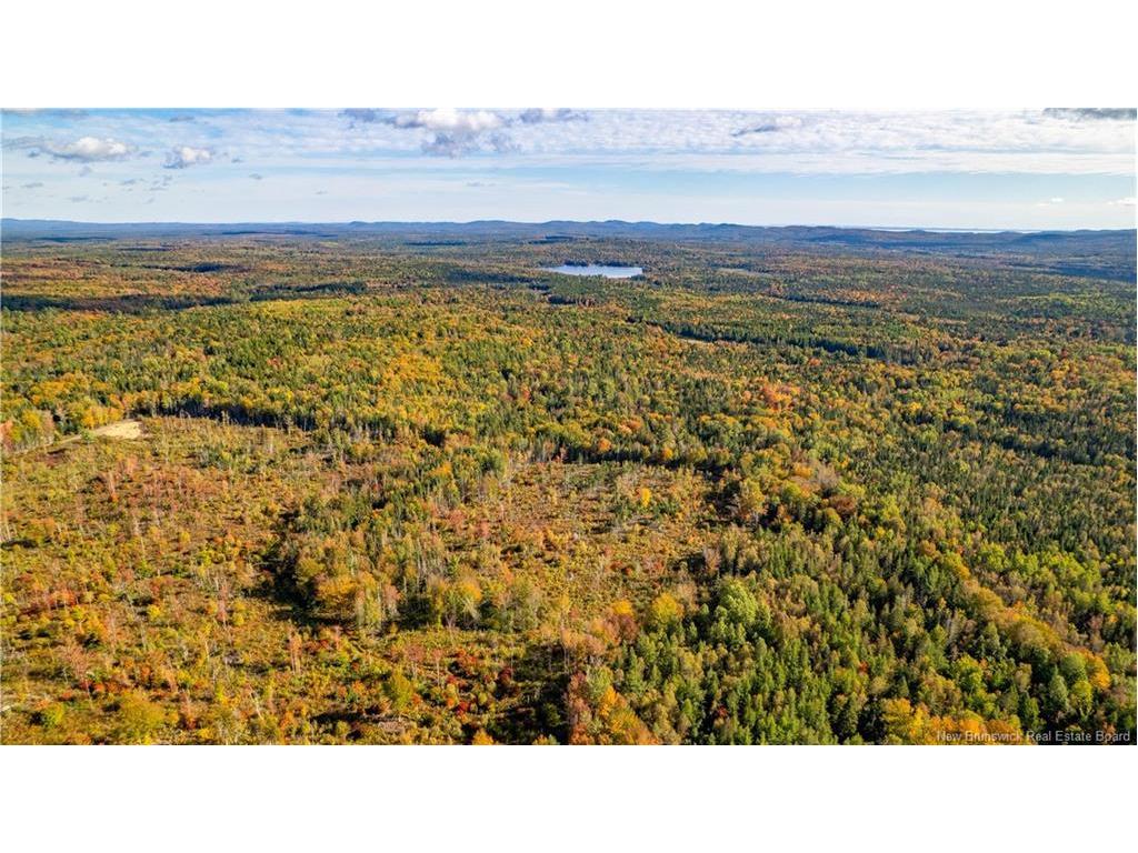 Lot Clatter Rd, Rollingdam, NB