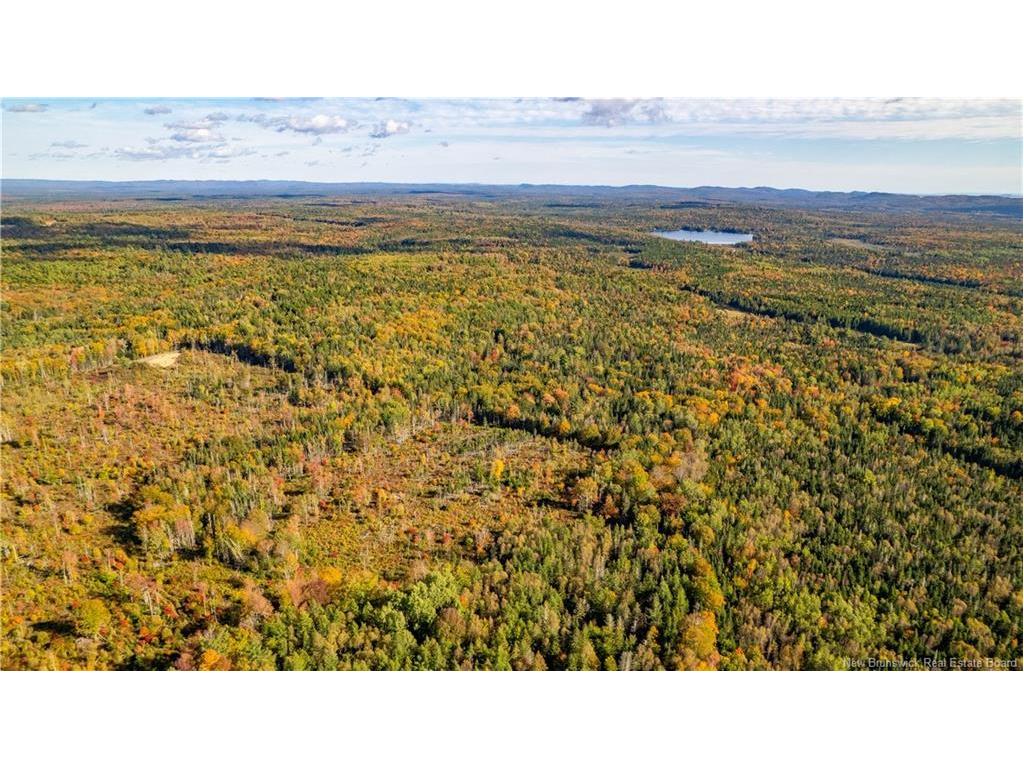 Lot Clatter Rd, Rollingdam, NB