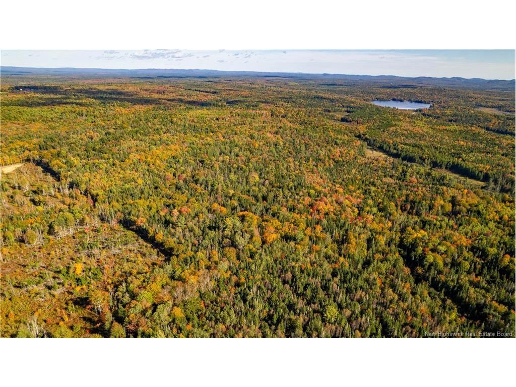 Lot Clatter Rd, Rollingdam, NB