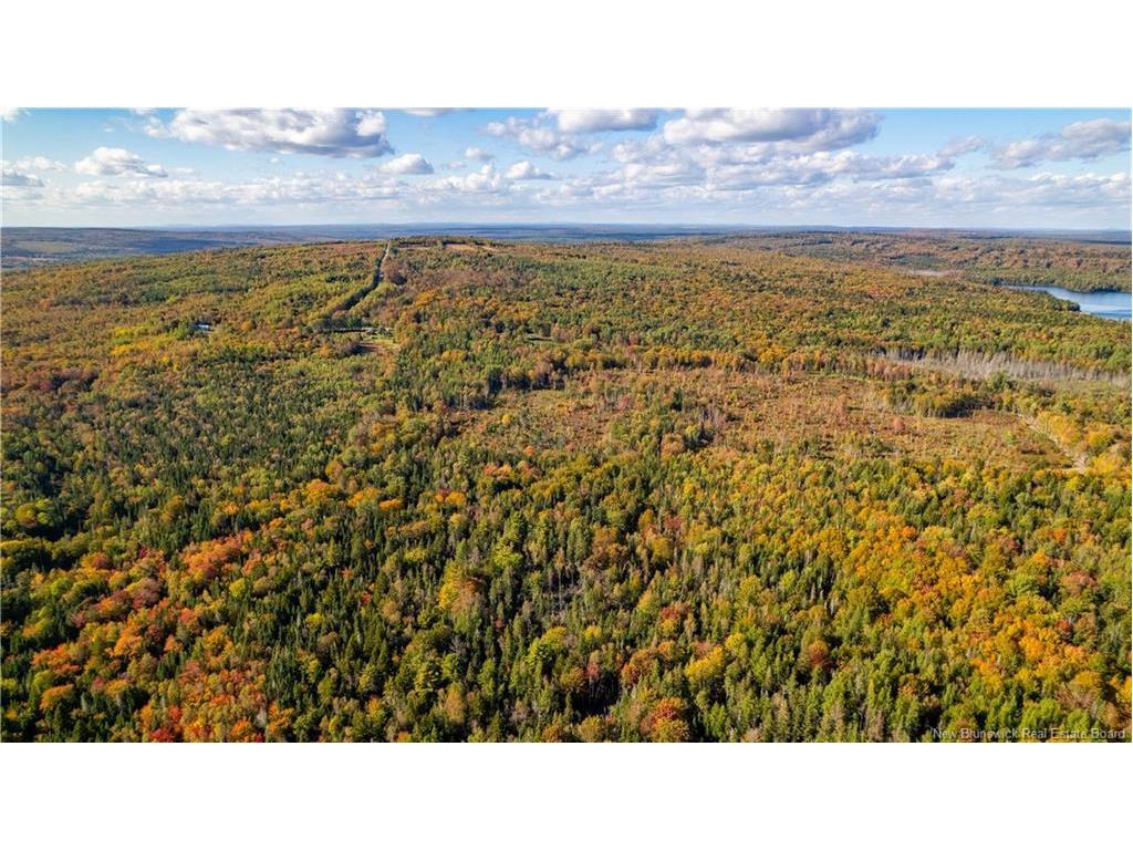 Lot Clatter Rd, Rollingdam, NB