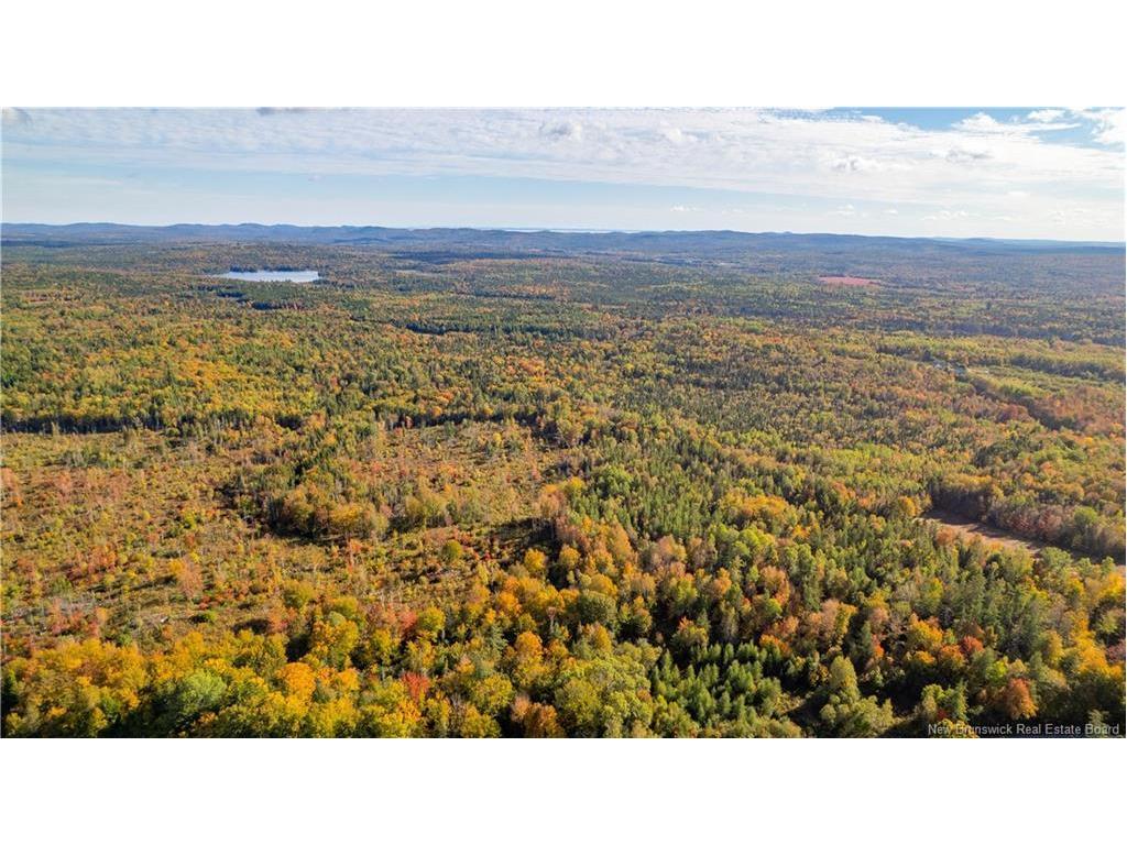 Lot Clatter Rd, Rollingdam, NB
