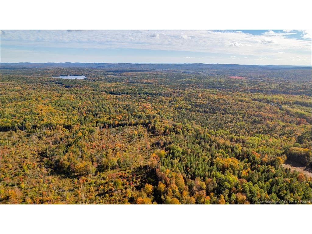 Lot Clatter Rd, Rollingdam, NB