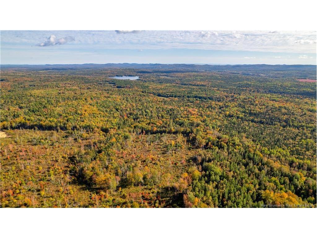 Lot Clatter Rd, Rollingdam, NB