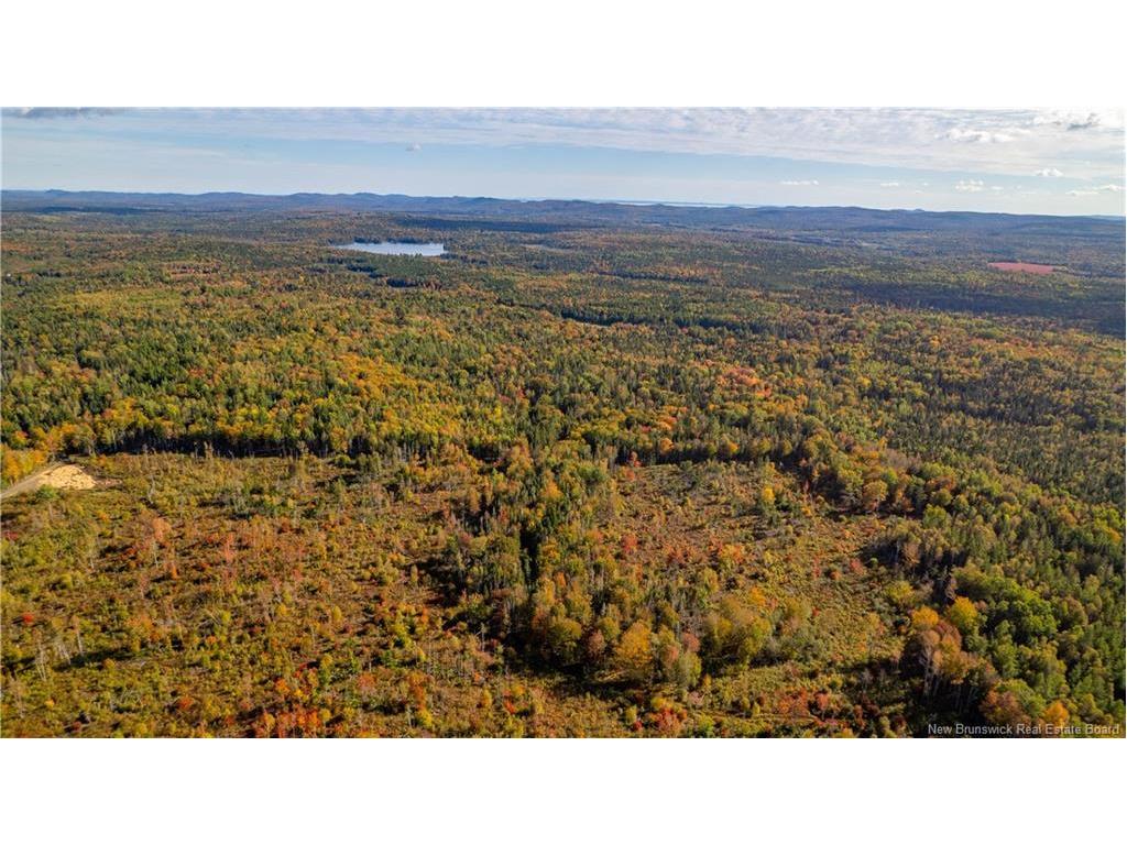 Lot Clatter Rd, Rollingdam, NB
