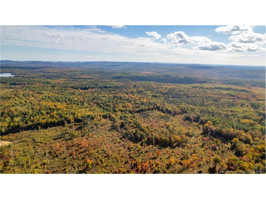 Lot Clatter Rd, Rollingdam, NB