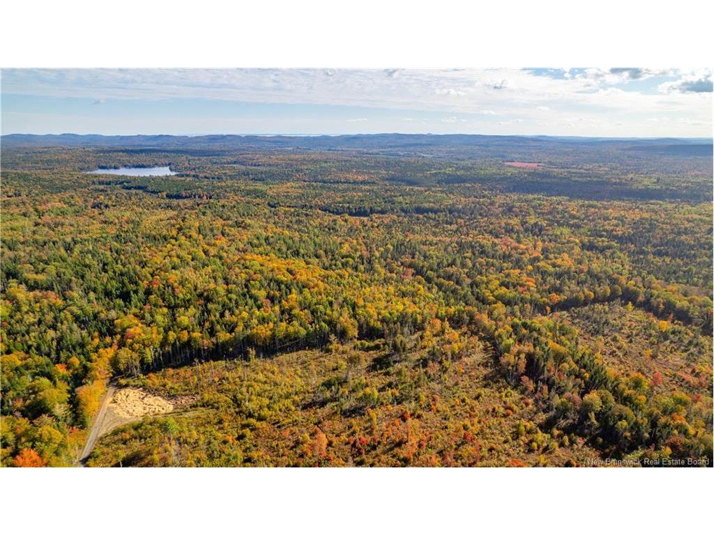 Lot Clatter Rd, Rollingdam, NB