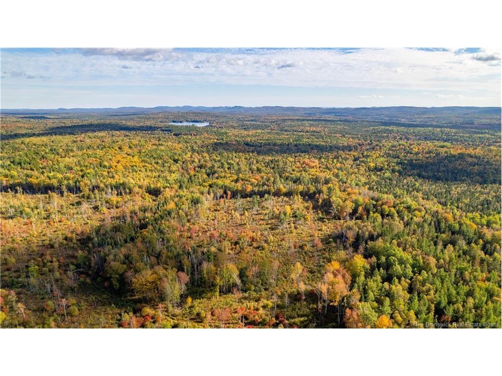 Lot Clatter Rd, Rollingdam, NB