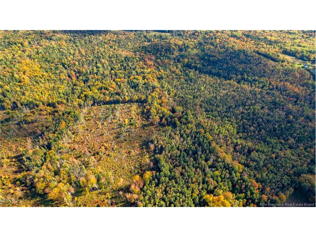 Lot Clatter Rd, Rollingdam, NB